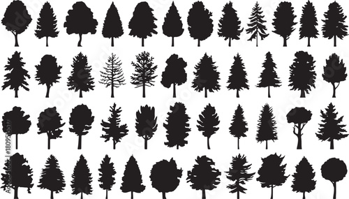 Silhouettes of various coniferous and deciduous trees arranged in rows on a white background Keywords: tree, silhouette, nature, forest, evergreen, deciduous, pine, fir, oak, shape, outline