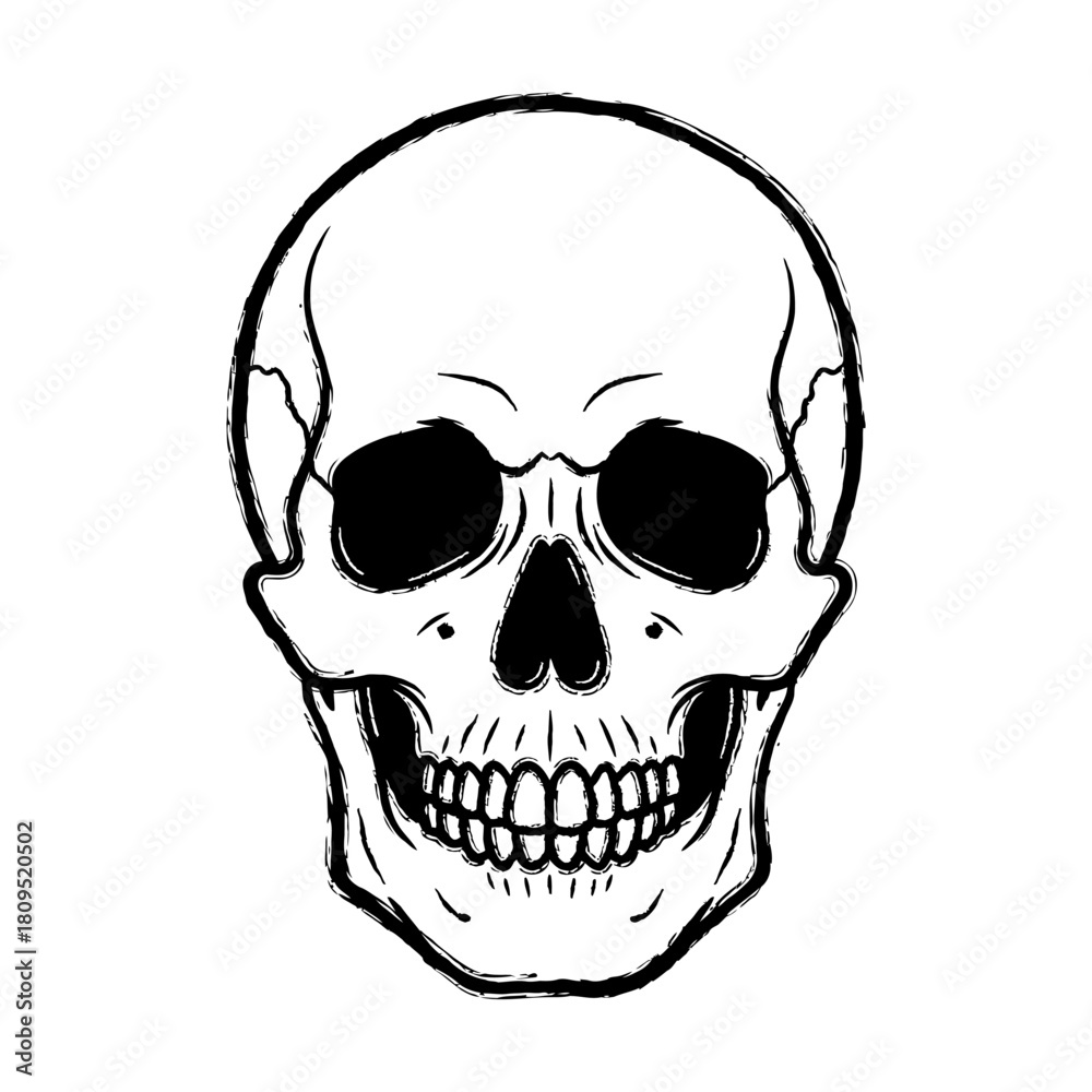 Fototapeta premium Skull Illustration with Brush Stroke Style on White Background