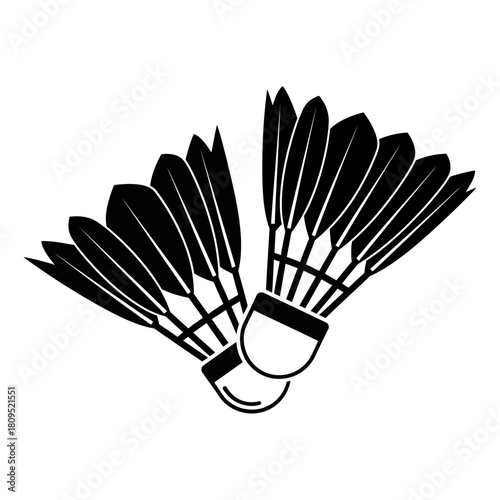 Two badminton shuttlecocks sport isolated on white background, Vector, illustration