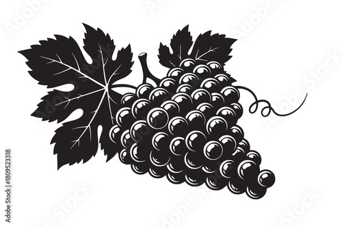 Grapes Silhouette Illustration – Classic Vineyard Fruit Cluster Design