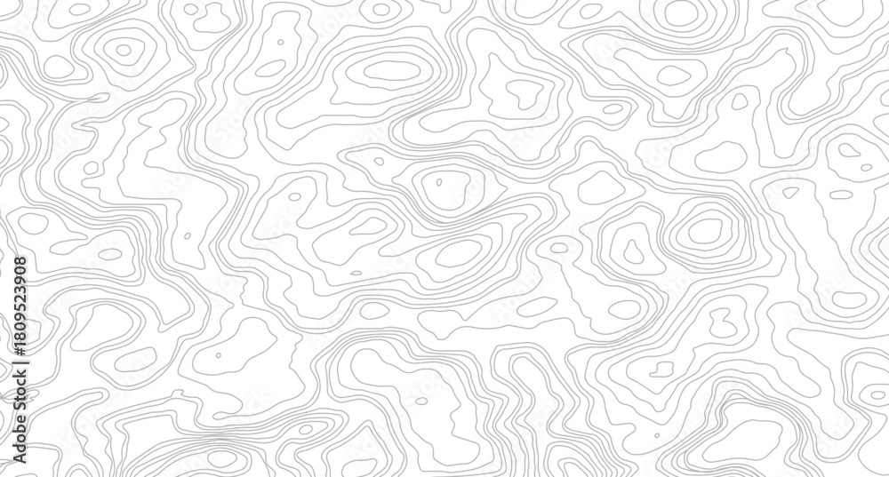 Obraz premium White wave paper curved reliefs abstract background, Abstract topographic contours map background, Topography map background. Vector geographic contour map. 