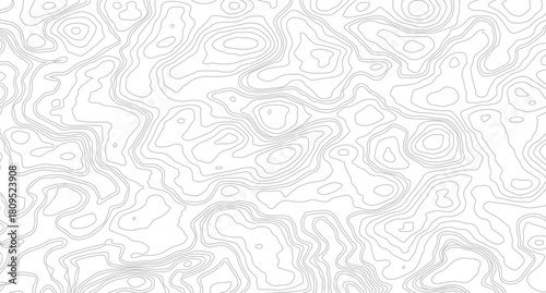 White wave paper curved reliefs abstract background, Abstract topographic contours map background, Topography map background. Vector geographic contour map. 