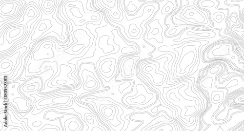 White wave paper curved reliefs abstract background, Abstract topographic contours map background, Topography map background. Vector geographic contour map. 