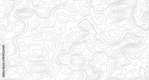 Abstract Topographic Map Lines. Monochrome Terrain Lines Art. Wavy Geographical Contour Lines
