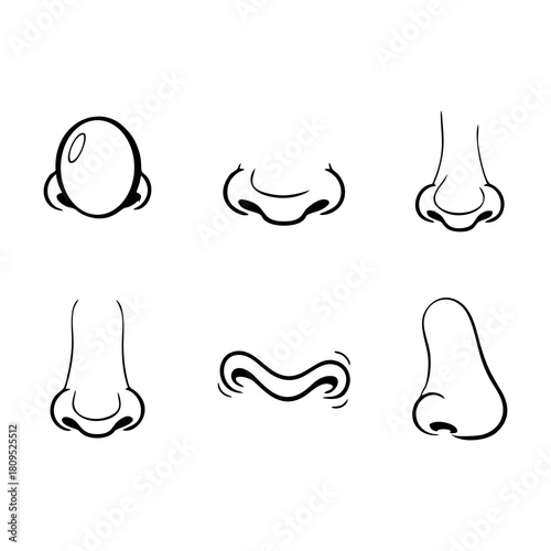 Diverse Collection of Nose Illustrations A Variety of Cartoon Noses for Artistic Projects