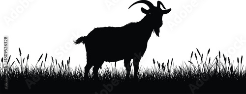 Goat silhouette standing in tall grass, curved horns animal illustration, black white vector art, farm livestock design, nature wildlife scene