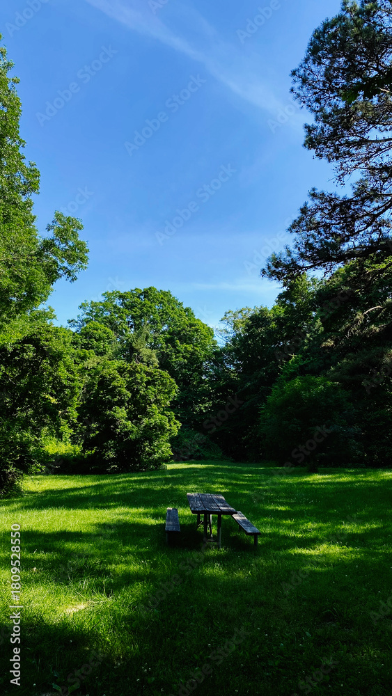 Naklejka premium Outdoor meadow park scene with picnic table under blue sky in Southern Illinois greenery today