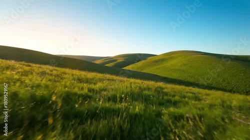 Majestic, sweeping vista of undulating green hills covered in diverse wild grasses, gently swaying under a clear, expansive sky at dawn. Wide, establishing shot with a slow, deliberate pan.