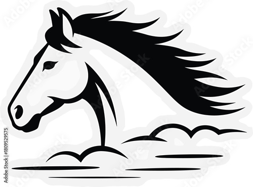Black and white horse head with flowing mane animal