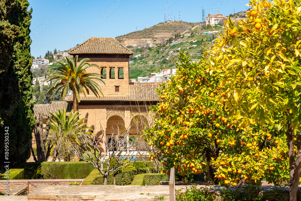 Obraz premium Ladies tower of Alhambra palace and orange trees in gardens of Partal, Granada, Spain