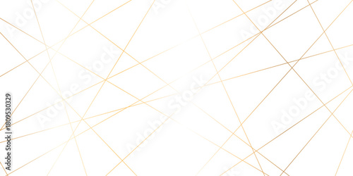 Abstract gold lines on transparent background. random chaotic lines abstract geometric patterns of modern design. geometric design created using light colorful digital net web line technology.