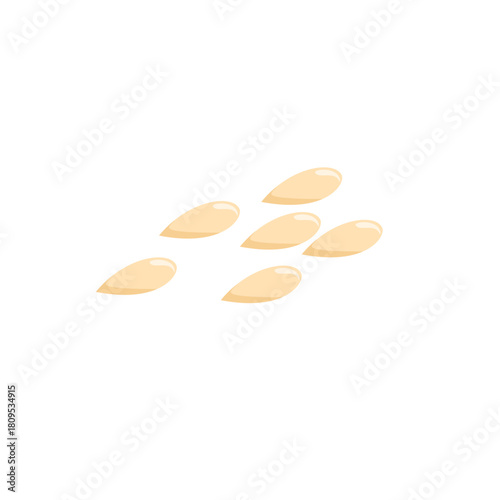 Sesame Seeds Illustration