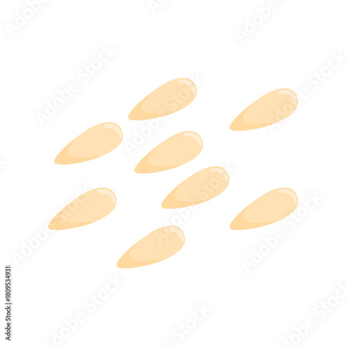 Sesame Seeds Illustration
