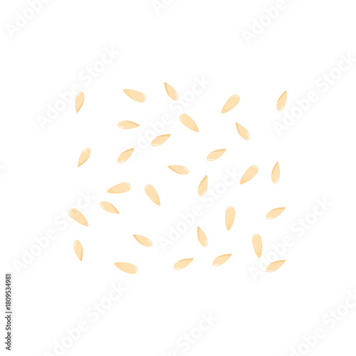 Sesame Seeds Illustration