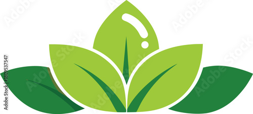 Three leaf cluster clean eco logo isolated on transparent background