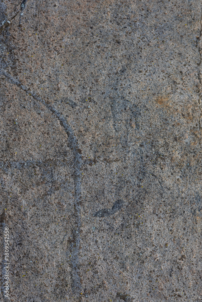 Naklejka premium High Resolution marble,stone,, cement, callacatta,