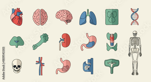 Camping gear icons: tent, fire, backpack, sleeping bag, compass, map, thermos, flashlight, axe, chair, table, stove.
