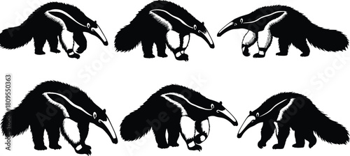 Anteater silhouette illustrations, black and white, long snout, bushy tail, walking pose, stripe detail, animal design, vector art, character set