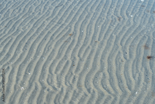 Fototapeta Naklejka Na Ścianę i Meble -  Coastal structures on Baltic Sea beach with gentle waves and smooth sand creating a calm natural scene