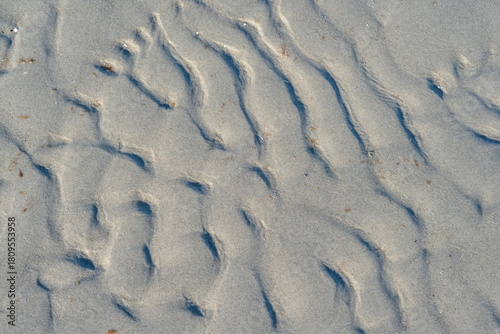 Fototapeta Naklejka Na Ścianę i Meble -  Wooden structures on Baltic Sea beach with smooth sand and reflective water shaping a calm natural view