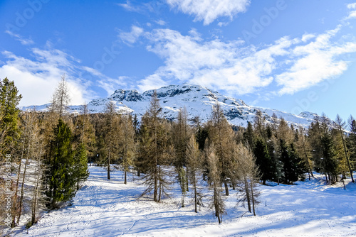 St. Moritz, Stazersee, Stazerwald, Bergsee, Langlauf, Winter, Wintersport, Rosatschgruppe, Alpen, Oberengadin, Graubünden, Schweiz