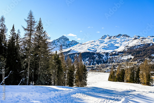 St. Moritz, St. Moritzersee, Oberengadin, Alpen, Corviglia, Piz Nair, Piz Julier, Piz Albana, Winter, Wintersport, Winterwanderung, Stazerwald, Langlauf, Schneedecke, Graubünden, Schweiz 