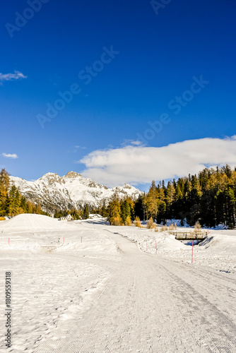 St. Moritz, St. Moritzersee, Bergsee, Eisfläche, Wanderweg, Stazerwald, Stazersee, Alpen, Alp Languard, Piz Languard, Oberengadin, Graubünden, Winter, Wintersport, Wintertag, Schweiz