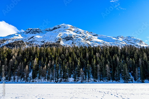 St. Moritz, St. Moritzersee, Dorf, Oberengadin, Winterwanderweg, Winter, Stazerwald, Schneedecke, Langlauf, Rosatschgruppe, Eisfläche, 
Wintersport, Alpen, Graubünden, Schweiz