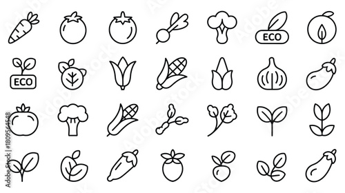Variety of fresh organic vegetables and plants line art icons
