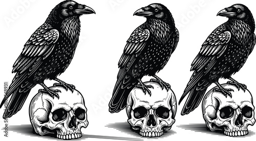 Flat vector gothic illustration of raven perched on human skull, dark symbolism, macabre art, black and white horror design