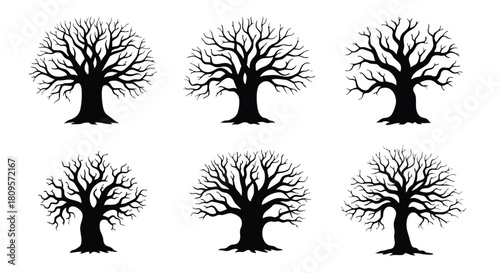 Elegant silhouettes of bare winter trees against a white background, perfect for nature designs, spooky Halloween themes, or artistic autumn projects, minimalist style