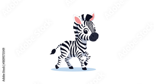 Adorable baby zebra with black and white stripes and a friendly smile walks happily on a white isolated background.