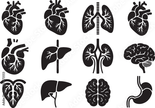 Intricate hand drawn anatomical organs set for medical illustration projects. Vector Black silhouettes. with white background