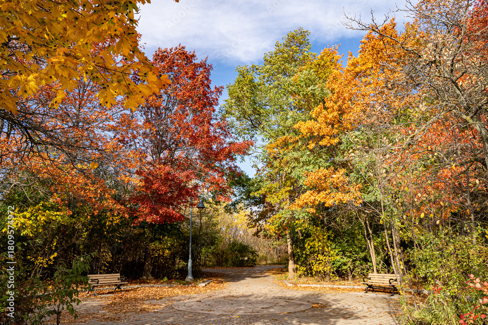 Naklejka premium Autumn View of Colonel Samuel Smith Park in Toronto.