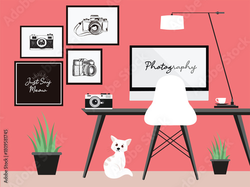 Creative photography studio with vintage cameras, a modern computer, and a cute white cat at home