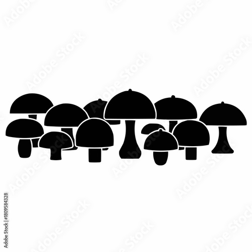 Silhouette of a Mushroom Patch - A Fungi Collection.
