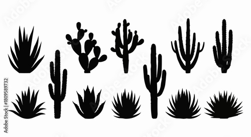 A diverse collection of black cactus and desert plant silhouettes.