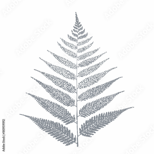 Fern with retro photocopy stipple effect, for grunge punk y2k collage design. 