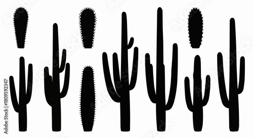 Silhouette Collection of Various Cactus Plants in Desert Landscape.