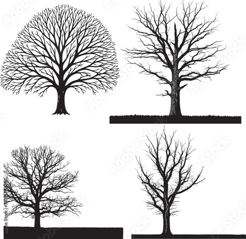 Rugged dead tree silhouette with textured bark vector
