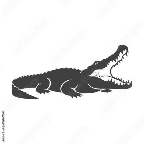 The Powerful Crocodile displaying its toothy smile in the swamp a symbolic figure of danger In solid dark gray with