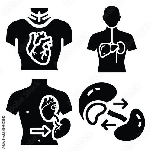 organ transplant vector icons– simple hospital and medical safety symbols