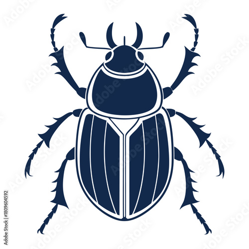 Elegant Beetle Illustration with Detailed Features on a White Background