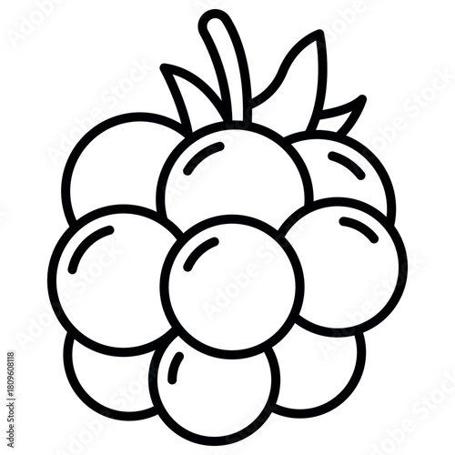 Blackberry Fruit Icon Template – Fresh Fruit Minimal Flat Vector Design