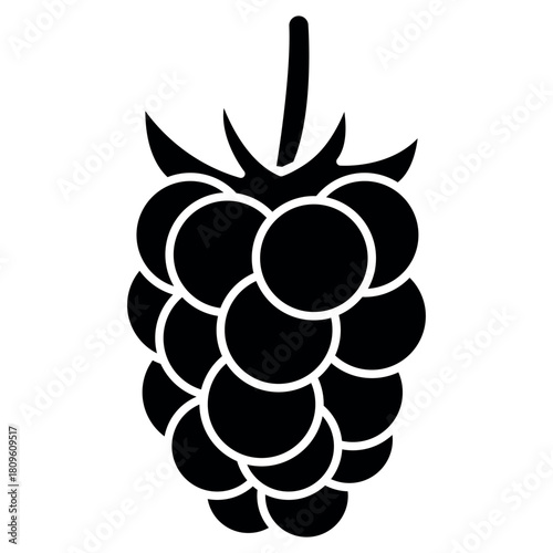 Blackberry Fruit Icon Template – Fresh Fruit Minimal Flat Vector Design