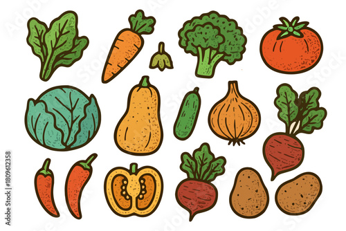 A colorful cartoon illustration of various vegetables including spinach, carrot, sprout, broccoli, tomato, cabbage, butternut squash, zucchini, onion, beet, chili and potato.	