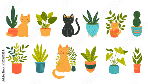 A collection of flat vector illustrations of cats and houseplants. Playful pets with modern potted greenery.