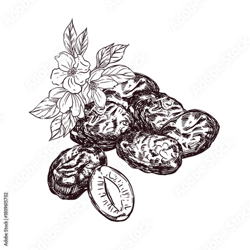 Prunes with flowers and leaves, all objects hand-drawn with ink and translated into vector. The illustration is perfect for printing on the packaging of goods, food, dishes, cosmetics.