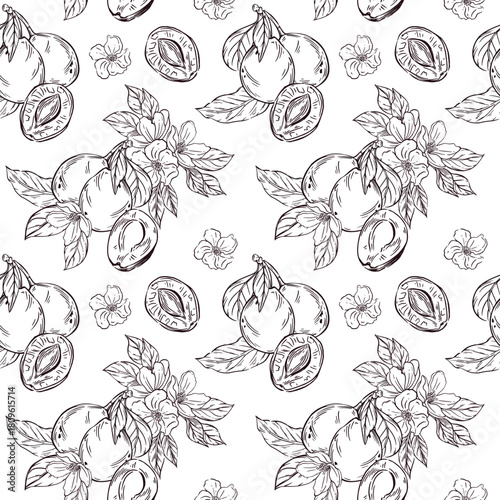 Seamless vector pattern of plums, prunes, leaves and flowers of fruit trees. All objects are hand-drawn. The illustration is perfect for printing on fabric, for packaging dried fruits.