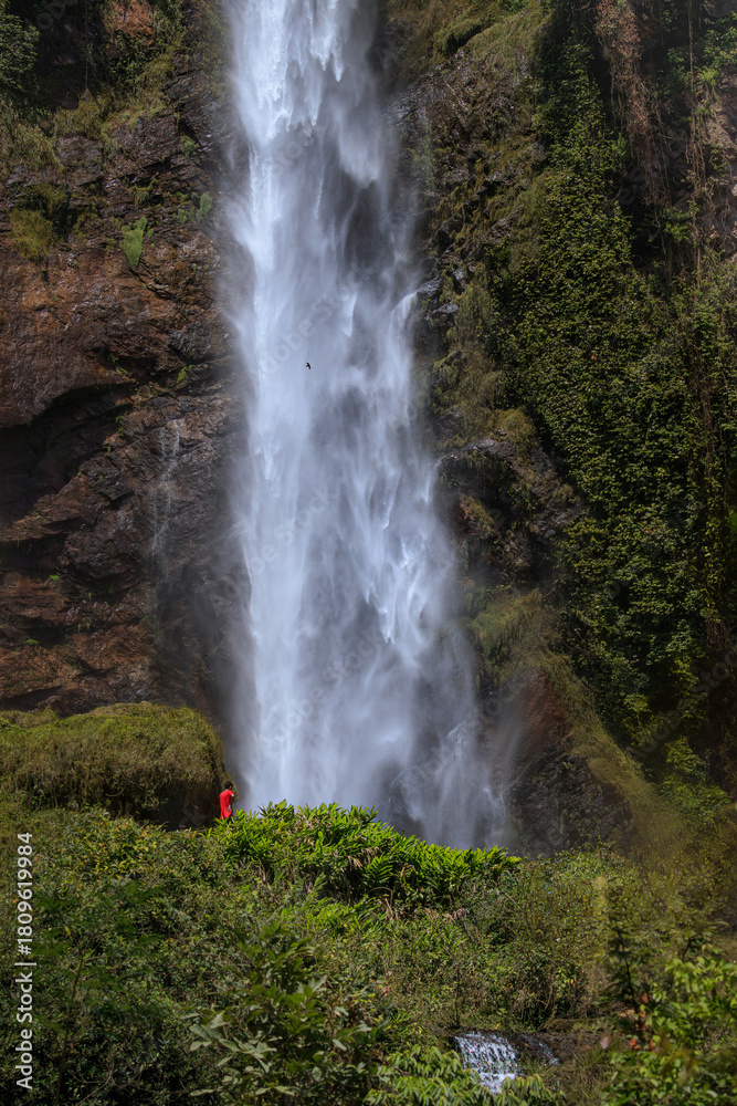 Fototapeta premium Giant waterfall cascading flow of water surrounded by lush scenery